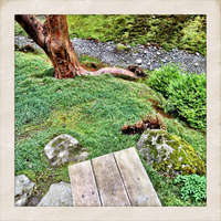 Japanese Gardens, Seattle