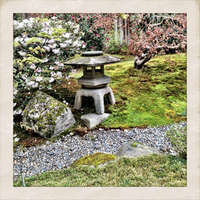 Japanese Gardens, Seattle
