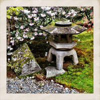 Japanese Gardens, Seattle