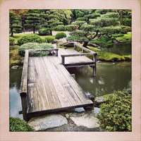 Japanese Gardens, Seattle