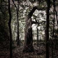 High Springs Florida